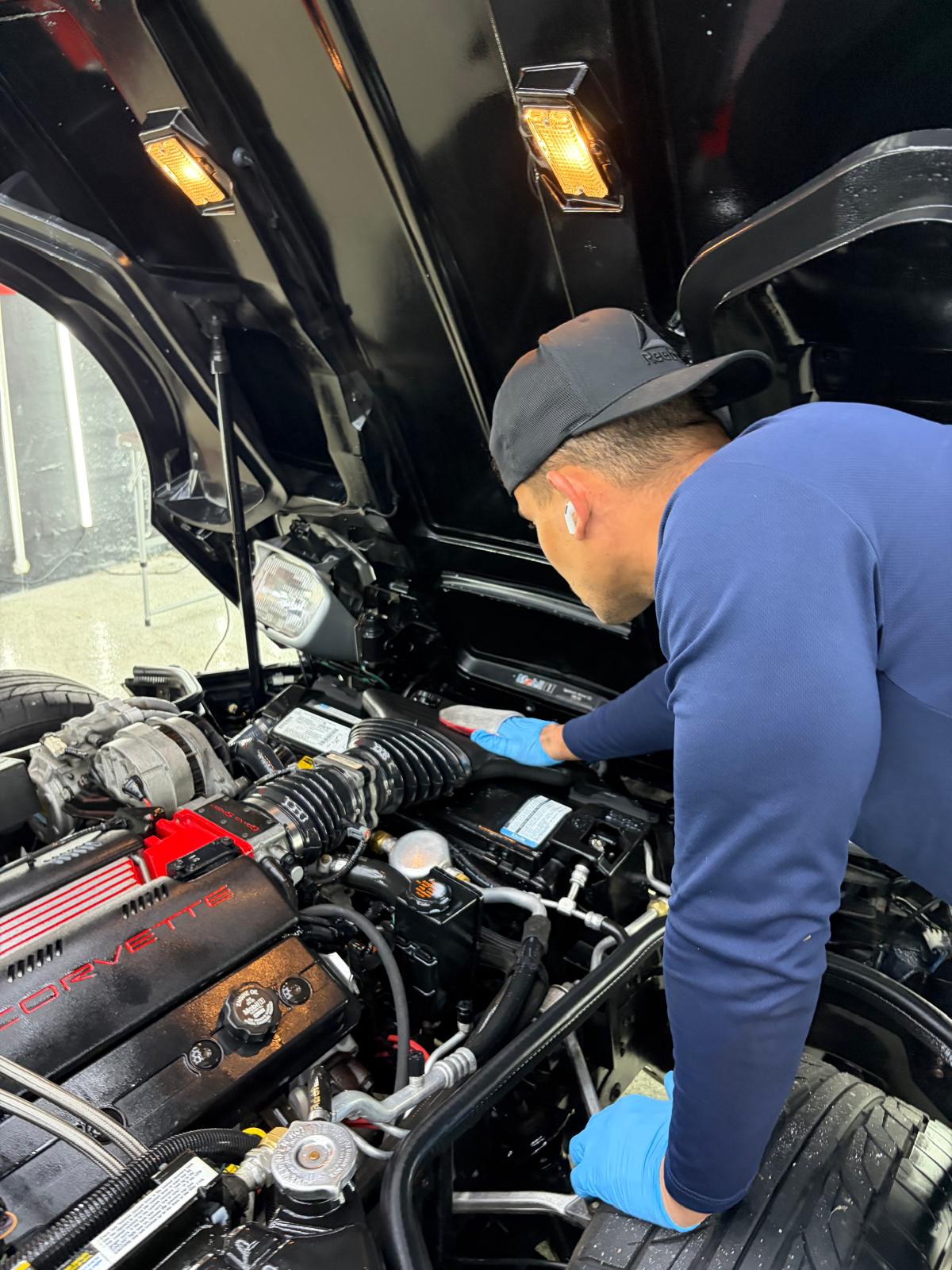 Engine bay detail Miami