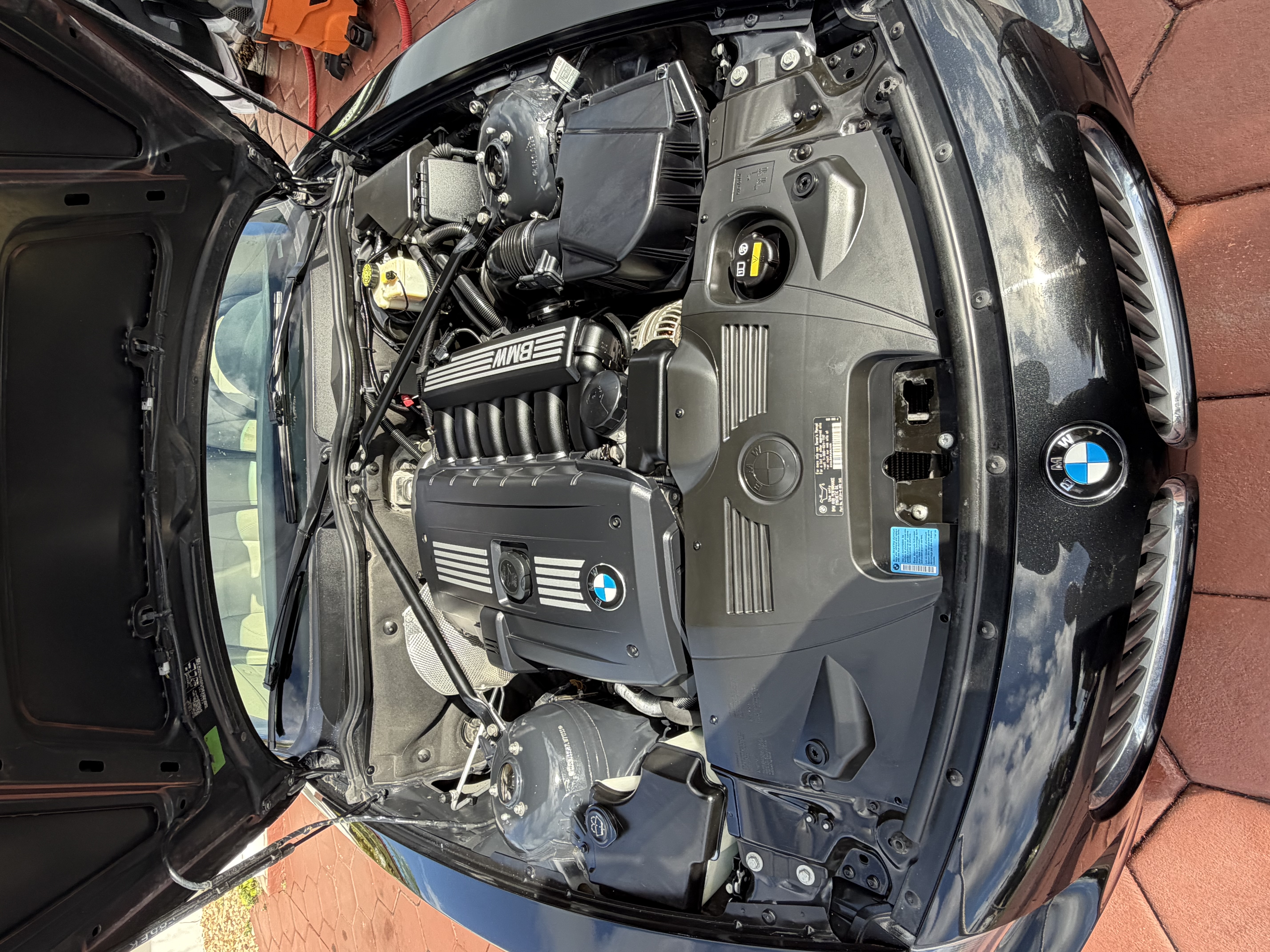 After engine bay detailing BMW Doral
