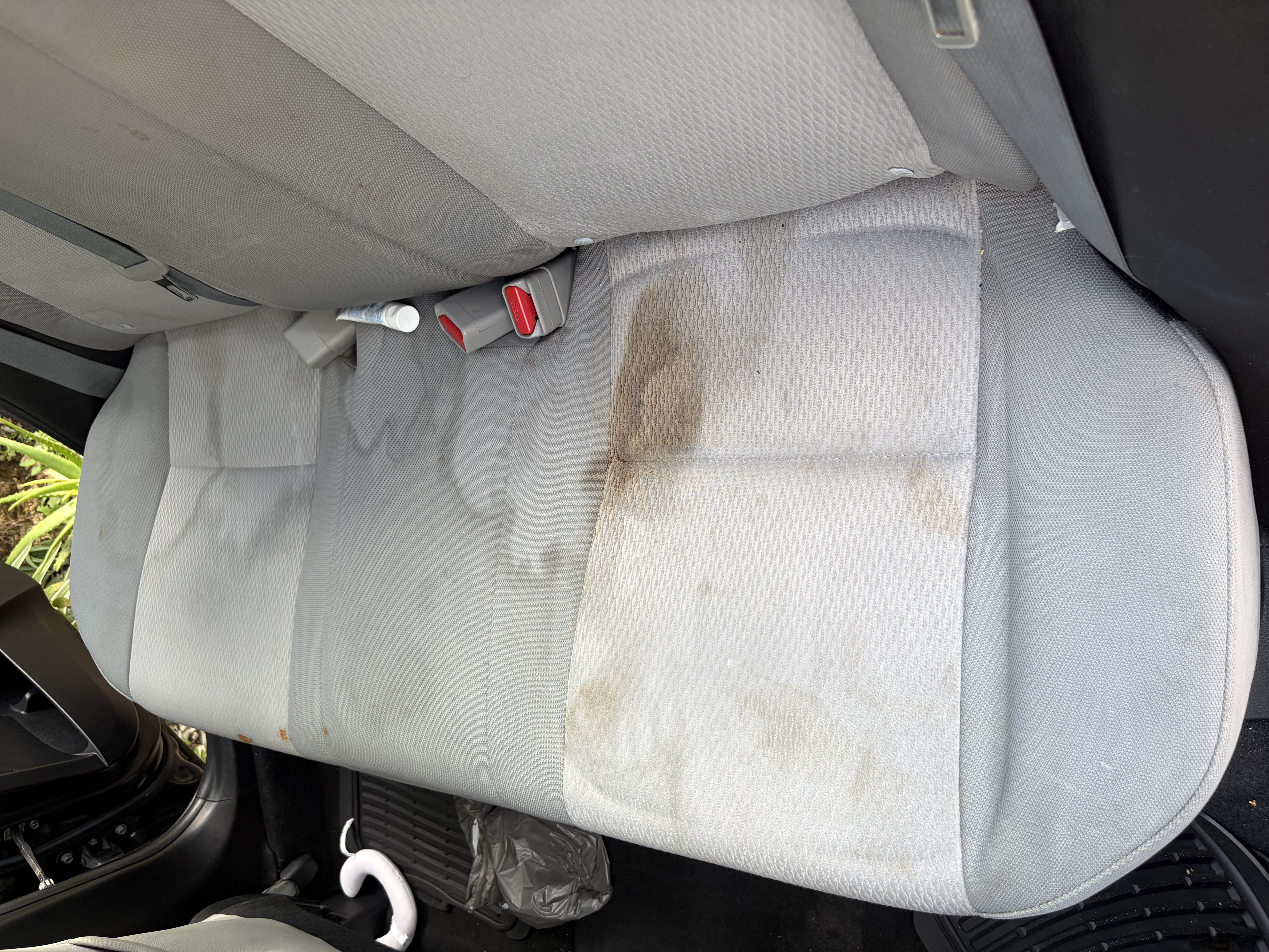 Before rear seat stain removal Hialeah