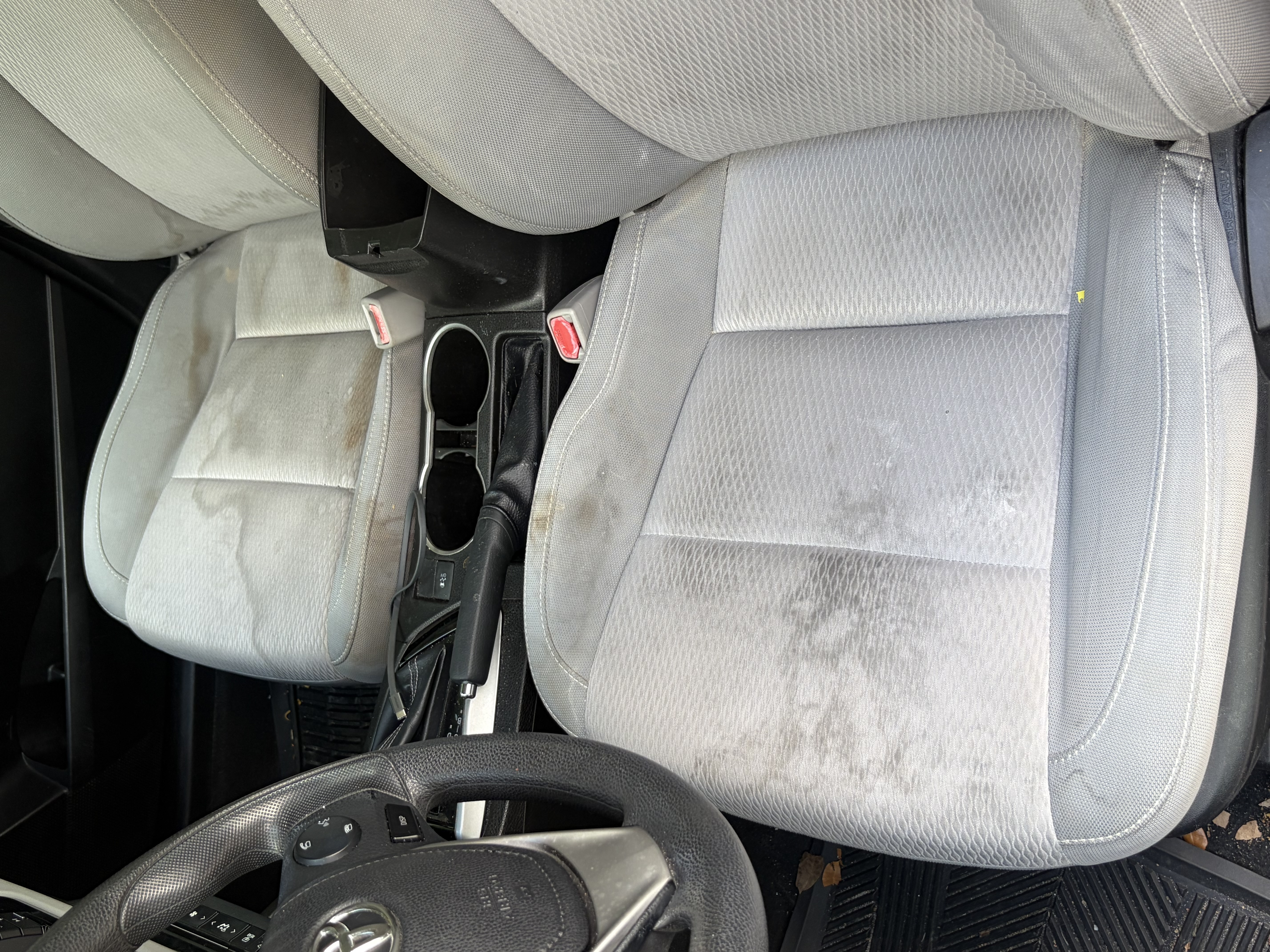 Before seat shampoo Miami