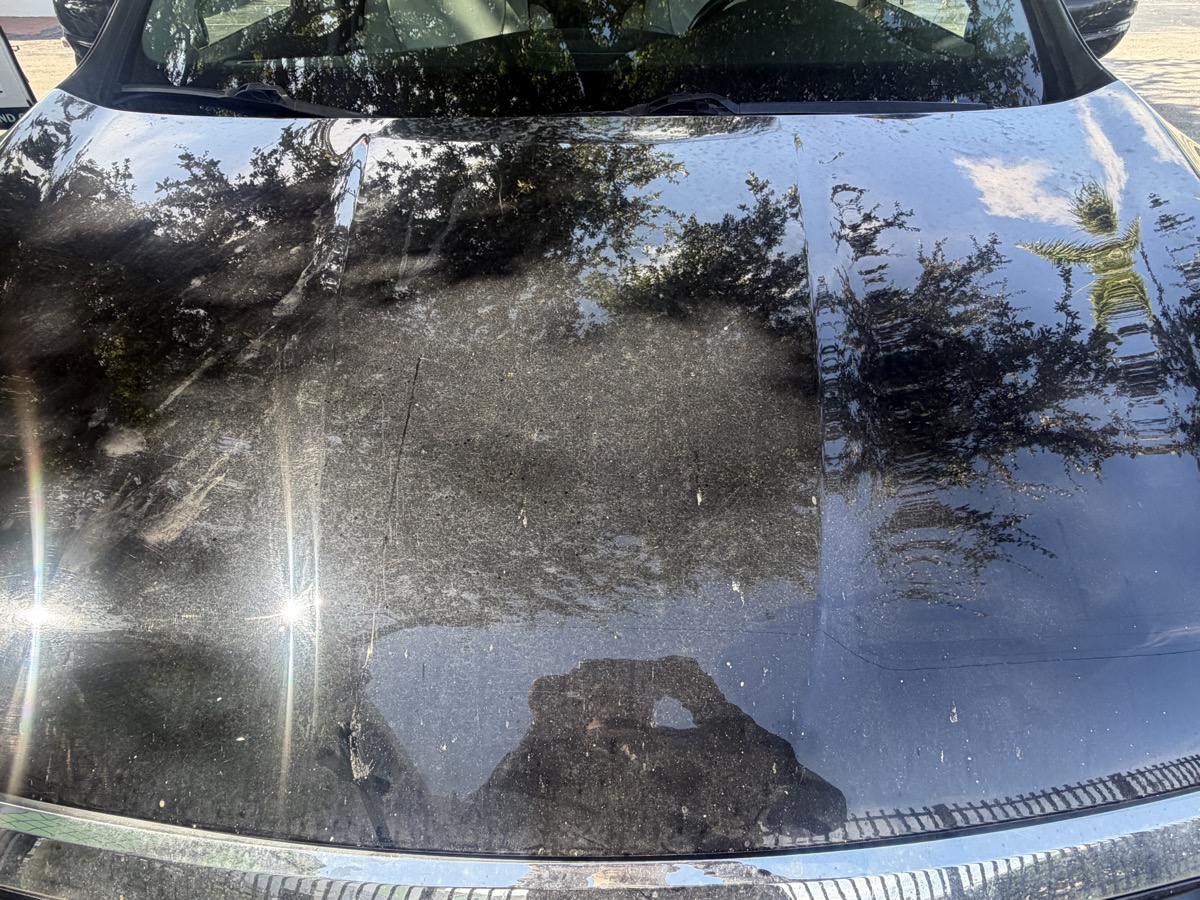 Before paint correction mobile detailing Hialeah FL