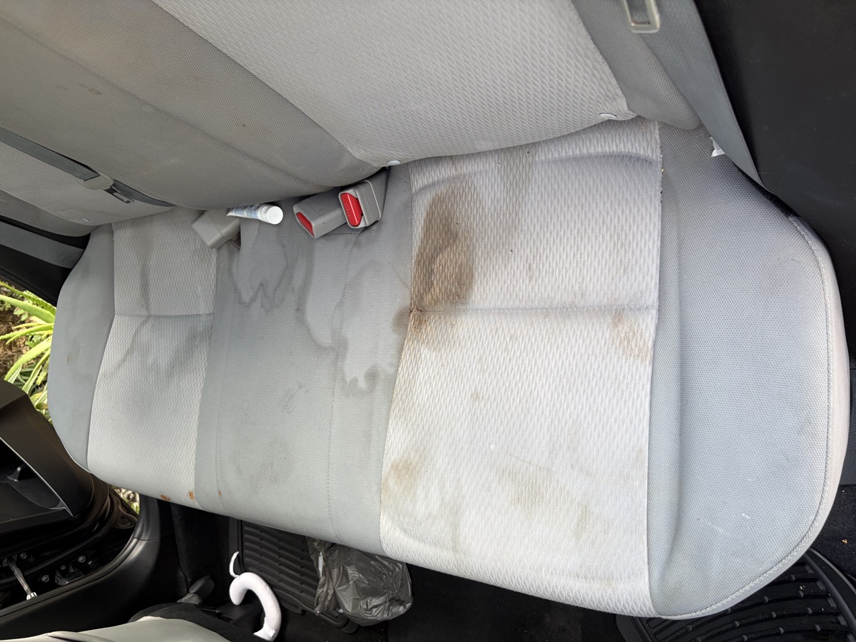 Before rear seat stain removal Hialeah